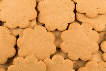 Gingerbread star cookies