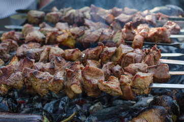Man cooking marinated shashlik or shish kebab, chiken meat grilling on metal skewer, close up. Selective focus