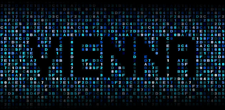 Vienna text on hex code illustration