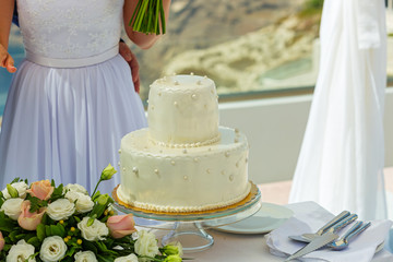 Bride near the wedding cake and  flowers