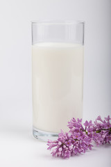 Obraz na płótnie Canvas glass of milk and lilac on a white background