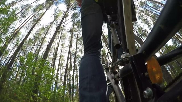 Slow motion cyclist riding on a sunny summer forest, view from the bottom up