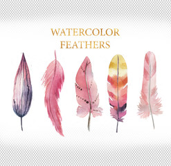 set of pink watercolor feathers - 113264113