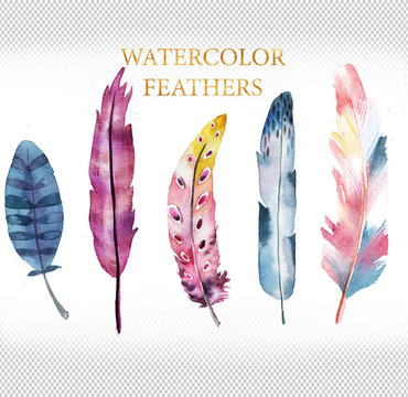 rainbow watercolor feathers collection