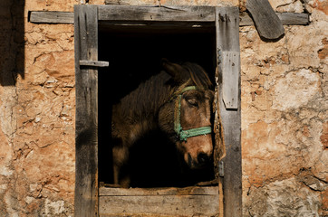  at © drasarlar