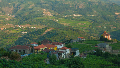 Fototapeta na wymiar Vineyard hills in the river Douro valley, Portugal