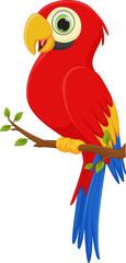 Obraz premium cute macaw bird cartoon