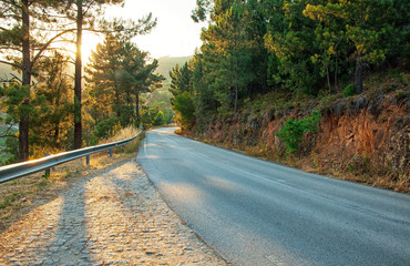 Road with nice natural lights