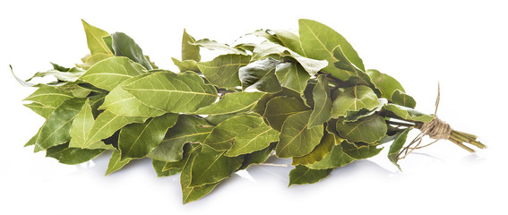Ramo de hojas de laurel atado con una cuerda y aislado sobre un fondo blanco para usar como hierbas y especias en la cocina - obrazy, fototapety, plakaty