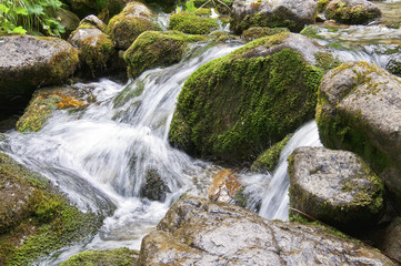 Naklejka na ściany i meble Wet mossy rocks in the creek