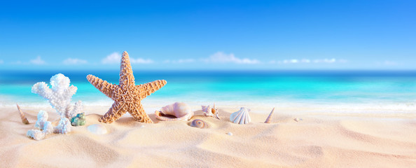 Golden Sand With Seashell And Starfish - Tropical Seashore
