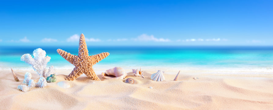 Golden Sand With Seashell And Starfish - Tropical Seashore
