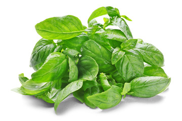 Basil leaves, isolated on white
