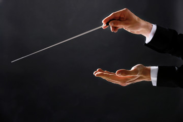 Orchestra conductor hands on dark background © Africa Studio