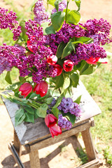 Beautiful fresh bouquet of violet lilac and red tulips