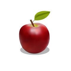 attractive red apple with shadow