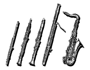 Obraz premium Woodwind musical instruments set