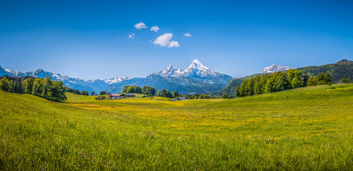 Fototapeta premium Idyllic landscape in the Alps with blooming meadows and mountain tops