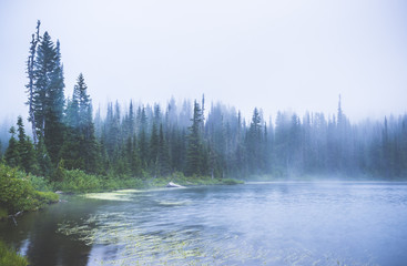 lake in the forest  with a lot of fog.