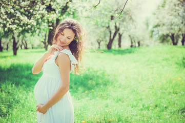 Naklejka na ściany i meble Pregnant beautiful woman in the apple orchard