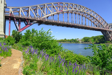 The Hell Gate Bridge (East River Arch Bridge) in New York City is a railroad only bridge, not used for passenger cars, and was a model for the Sydney Harbour Bridge in Australia