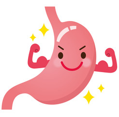 元気な胃腸　健康な胃
