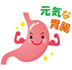 元気な胃腸　健康な胃