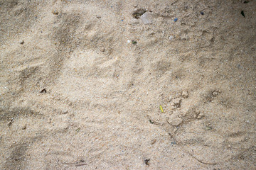 Sand surface texture