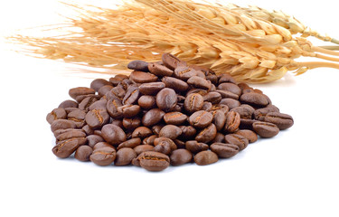  coffee beans on white  background