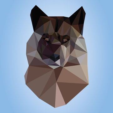 Polygonal wolf on blue background