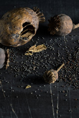 poppy; dry opium; old