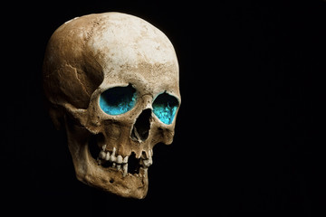 Skull model set on isolated black background. Art - design gloomy atmosphere