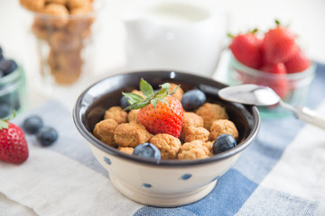 Frühstücks Cerealien mit frischen Beeren und Milch 