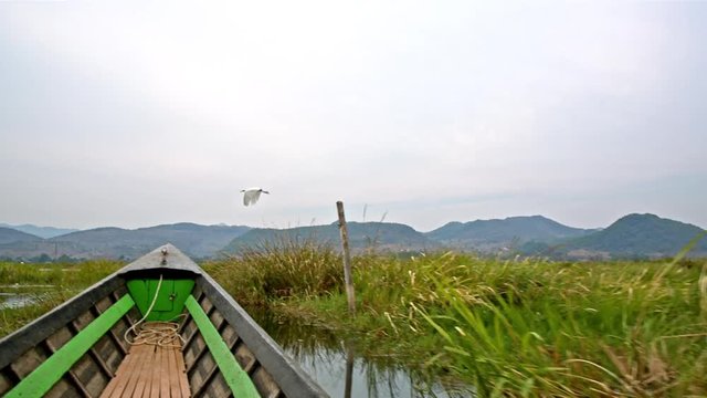 White heron of the eastern great egret species takes wing from the pillar in the reeds on Inle lake in Myanmar (formerly Burma)