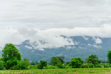 Agricultural landscape and mountains with fog after rain,Rain mist floating on the mountain the nature of green season in Thailand