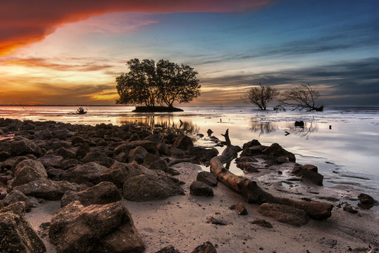 Mangroves in the water with rocky beach and colorful sunrise sky
