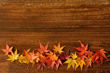 モミジの紅葉　木目背景　
