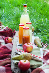 Fruits Fresh Juices in Bottles on Wooden Plank