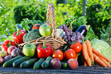 Variety of fresh organic vegetables and fruits in the garden