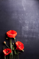 Red poppies and rye on old blackboard