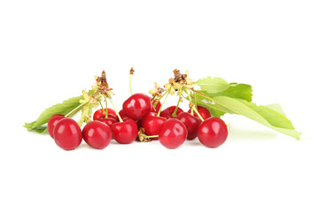 Sweet cherry isolated on a white background