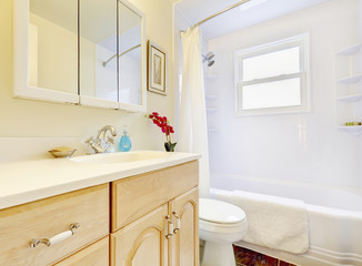 Bright bathroom with wooden cabinets, mirror and toilet.
