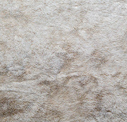 The texture of tissue