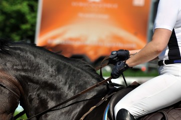 Die Reiterin mit ihrem Pferd gallopieren auf dem Turnierplatz
