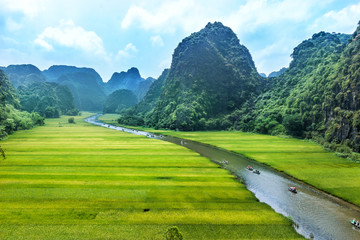 Rice field and river, NinhBinh, vietnam landscapes