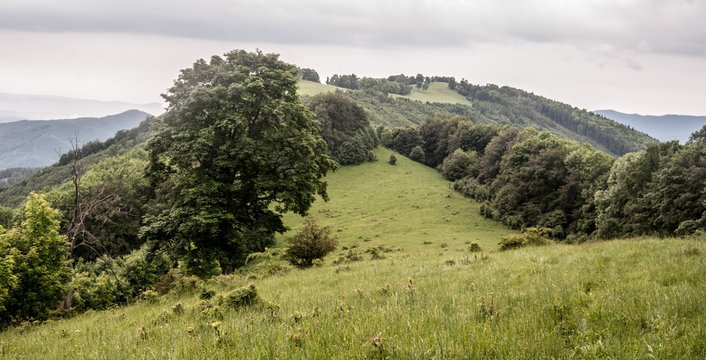 Japen mountain range above Dolny Harmanec village in spring Velka Fatra mountains in Slovakia with meadow and trees