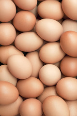 background of fresh eggs for sale at a market.