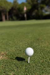 golf ball on tee