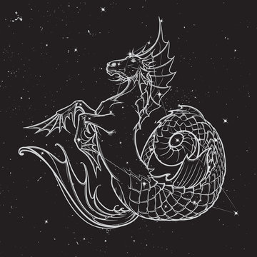 hippocampus or kelpie mythologic creature. Sketch on a nightsky background.