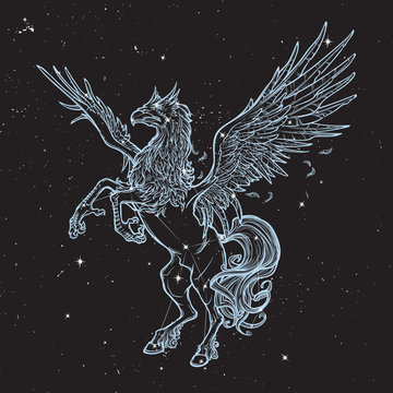Hippogriff or Hippogryph supernatural beast. Sketch on a nightsky background